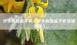 步步高智能手机（步步高智能手机非诚勿扰）