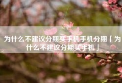 为什么不建议分期买手机手机分期「为什么不建议分期买手机」