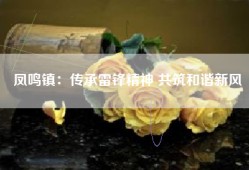 凤鸣镇：传承雷锋精神 共筑和谐新风