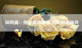 凤鸣镇：传承雷锋精神 共筑和谐新风