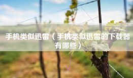 手机类似迅雷（手机类似迅雷的下载器有哪些）