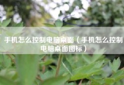 手机怎么控制电脑桌面（手机怎么控制电脑桌面图标）