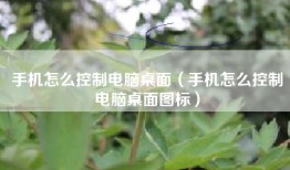 手机怎么控制电脑桌面（手机怎么控制电脑桌面图标）