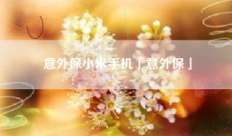 意外保小米手机「意外保」