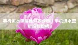 手机进水黑屏维修多少钱（手机进水黑屏维修价格）