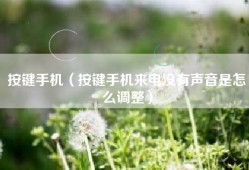 按键手机（按键手机来电没有声音是怎么调整）