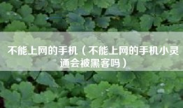 不能上网的手机（不能上网的手机小灵通会被黑客吗）