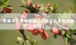 苹果手机来电设置（苹果手机来电设置教程）