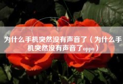为什么手机突然没有声音了（为什么手机突然没有声音了oppo）