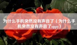 为什么手机突然没有声音了（为什么手机突然没有声音了oppo）