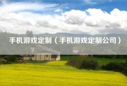 手机游戏定制（手机游戏定制公司）