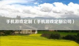 手机游戏定制（手机游戏定制公司）
