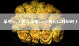 苹果xax手机（苹果xax手机可以升级吗）