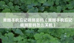 美图手机忘记锁屏密码（美图手机忘记锁屏密码怎么关机）