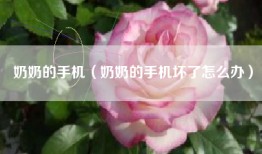 奶奶的手机（奶奶的手机坏了怎么办）