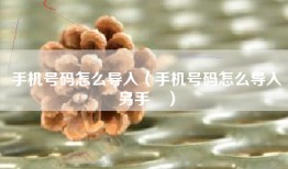 手机号码怎么导入（手机号码怎么导入另手朿）