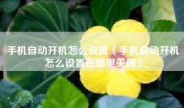 手机自动开机怎么设置（手机自动开机怎么设置在哪里关闭）