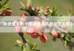 加速度手机（加速度手机维修怎么样）