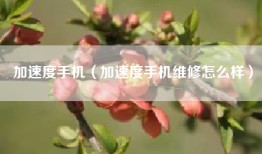 加速度手机（加速度手机维修怎么样）