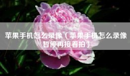 苹果手机怎么录像（苹果手机怎么录像暂停再接着拍）