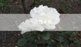 一次性手机
