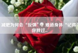 减肥为何会“反弹”？难道身体“记得”你胖过...