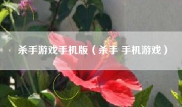 杀手游戏手机版（杀手 手机游戏）