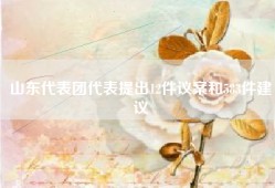 山东代表团代表提出12件议案和583件建议