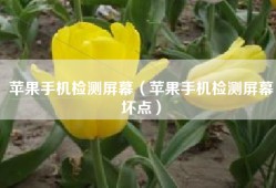 苹果手机检测屏幕（苹果手机检测屏幕坏点）