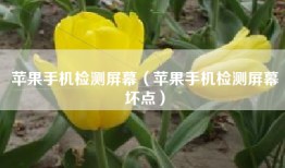苹果手机检测屏幕（苹果手机检测屏幕坏点）