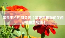苹果手机如何关闭（苹果手机如何关闭自动扣费功能）