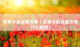 苹果手机屏幕发黄（苹果手机屏幕发黄什么原因）