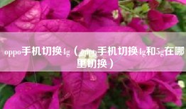 oppo手机切换4g（oppo手机切换4g和5g在哪里切换）