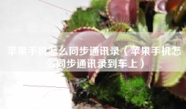 苹果手机怎么同步通讯录（苹果手机怎么同步通讯录到车上）