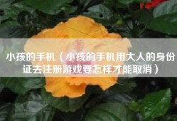 小孩的手机（小孩的手机用大人的身份证去注册游戏要怎样才能取消）