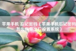 苹果手机 忘记密码（苹果手机忘记密码怎么恢复出厂设置系统）