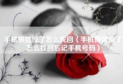 手机微信没了怎么找回（手机微信没了怎么找回忘记手机号码）