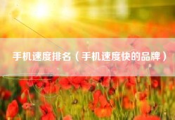 手机速度排名（手机速度快的品牌）