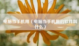 电脑当手机用（电脑当手机用的软件叫什么）