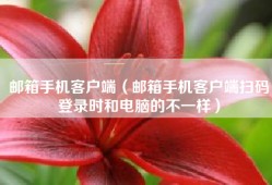 邮箱手机客户端（邮箱手机客户端扫码登录时和电脑的不一样）