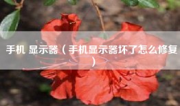 手机 显示器（手机显示器坏了怎么修复）