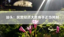 汕头：民营经济大显身手正当其时