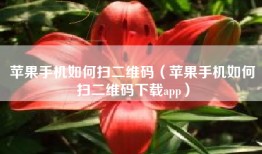 苹果手机如何扫二维码（苹果手机如何扫二维码下载app）