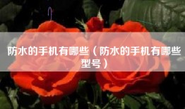 防水的手机有哪些（防水的手机有哪些型号）