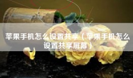 苹果手机怎么设置共享（苹果手机怎么设置共享屏幕）