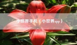 小世界手机（小世界app）