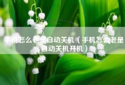 手机怎么老是自动关机（手机怎么老是自动关机开机）