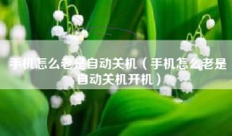 手机怎么老是自动关机（手机怎么老是自动关机开机）