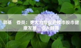 郭基煇委员：更大力度促进楼市股市健康发展，令人鼓舞