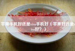 苹果手机好还是vivo手机好（苹果好还是vivo好？）